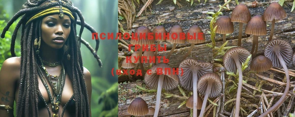 эйфоретик Богородицк