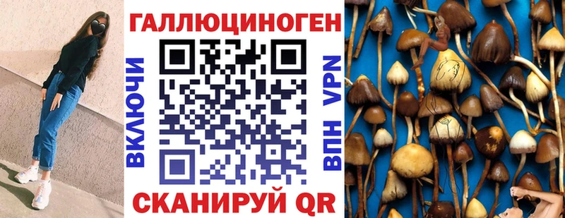 Галлюциногенные грибы мицелий  Сухой Лог 