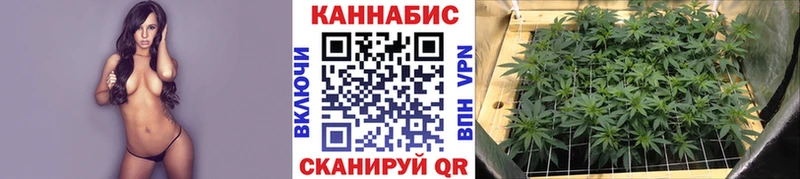 hydra зеркало  сайты даркнета как зайти  Шишки марихуана MAZAR  что такое наркотик  Сухой Лог 